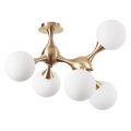 Ideal Lux - Candeeiro integrado NODI 5xE14/28W/230V latão